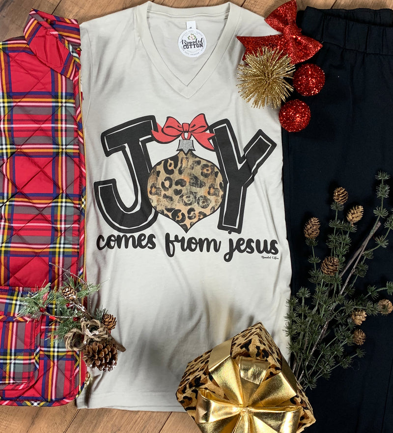 Joy Comes From Jesus
