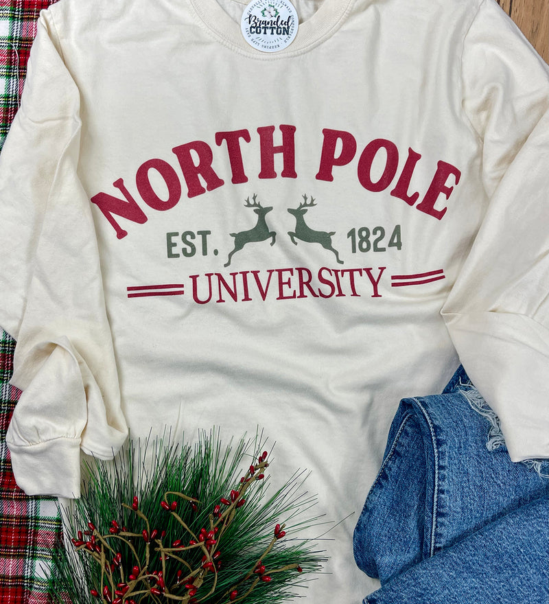 North Pole University